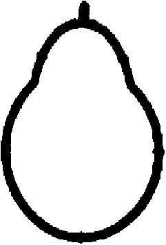 Corteco 450139H Guarnizione, Collettore aspirazione - Bijoux & Montres Amazon Italie à 3.50€