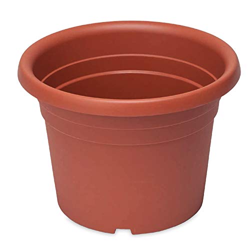 Vaso a cilindro Dahlia 90X63 - Maison & Cuisine Amazon Italie à 13.78€