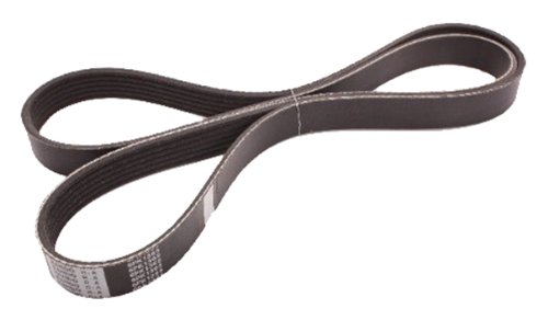 JAPANPARTS JPDV-6PK1365 Cinghia Poly-V - Maison & Cuisine en promo à 22.99€