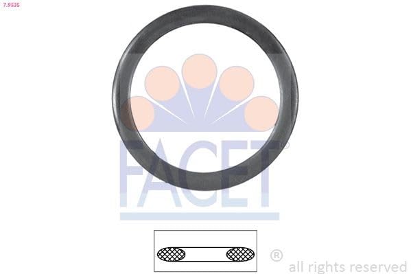 FACET 7.9535 Joint d'étanchéité thermostat - Auto & Moto Amazon France à 12.64€