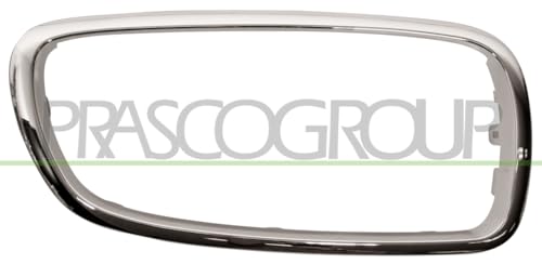 PRASCO Telaio, Griglia radiatore BM1002103 - Auto & Moto Amazon Italie à 21.93€