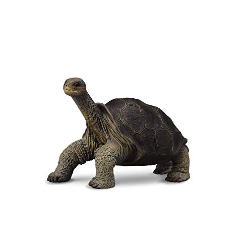 Collecta - Tortuga Gigante De Pinta -M- 88619 (90188619) - Jouets & Jeux Amazon Espagne à 9.38€