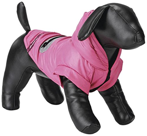 Beeztees Dogs Company Manteau pour Chien Rose Taille 20 cm - Pet Supplies Amazon France à 16.54€