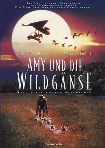 Amy und die Wildgänse - Livres & eBooks Amazon Allemagne à 3.99€