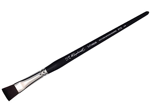 Raphael Pinceau Aquarelle écureuil synthétique, Plat, 12 - Bricolage & Outils Amazon France à 9.44€