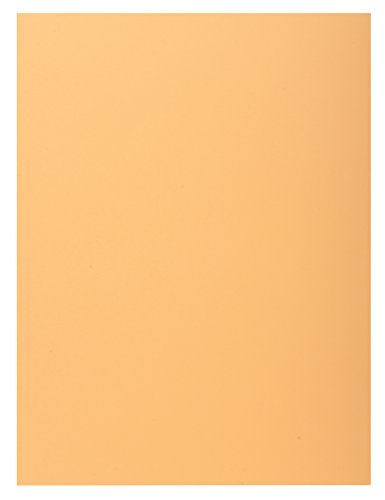 Exacompta 348025E - Lote de 100 Subcarpetas Super 180 con... - Maison & Cuisine Amazon Espagne à 14.95€