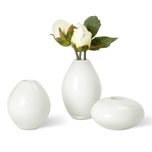 Torre & Tagus 901429 Lustre Vasen, Mini Assorted weiß - Maison & Cuisine Amazon Allemagne à 24.13€