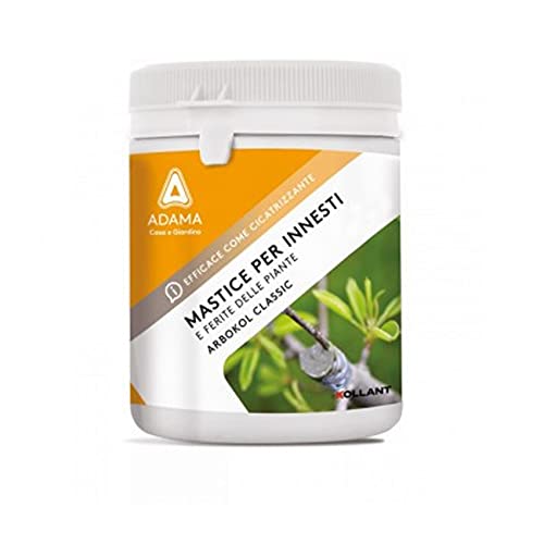 Cilli - Mastic à greffer - Colle cicatrisante - Élagage... - Jardin & Extérieur Amazon France à 5.81€