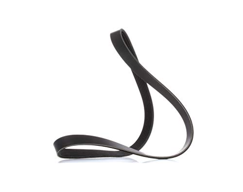 Meyle 050 006 1020 Correa trapecial poli V - Auto & Moto en promo à 7.60€