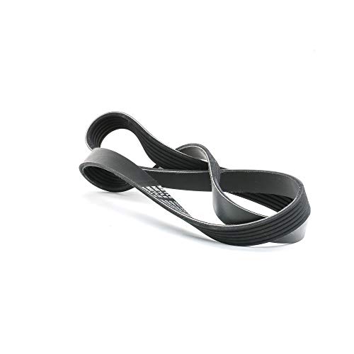Meyle 050 006 1255 Correa trapecial poli V - Amazon Spain à 9.10€