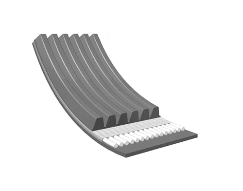 Meyle 050 006 1555 Correa trapecial poli V - Auto & Moto Amazon Espagne à 9.50€