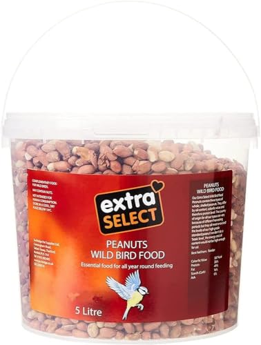 Extra Select Whole Peanuts for Wild Birds: Premium... - Maison & Cuisine en promo à 14.99€