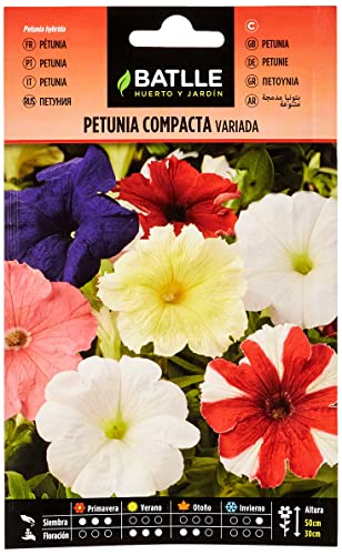Semillas Batlle - Petunia Compacta VARIADA, Multicolor - Sports & Fitness Amazon Espagne à 1.88€