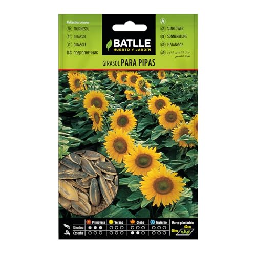 Semillas Batlle Girasol para pipas - Sports & Fitness Amazon Espagne à 1.59€