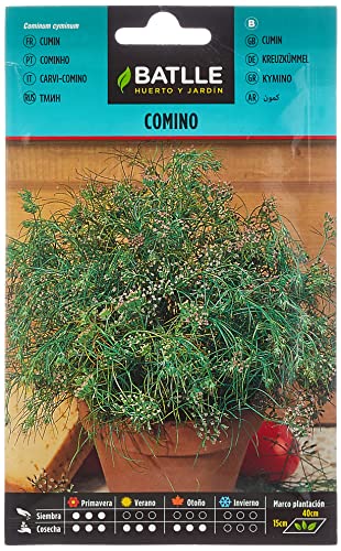 Batlle aromatic seeds - Cumin (Seeds - 20cm) - Sports & Fitness Amazon Royaume-Uni à 1.42€