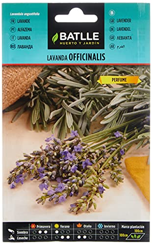 Semillas Batlle - Lavanda OFFICINALIS, Color Morado - Sports & Fitness en promo à 1.71€