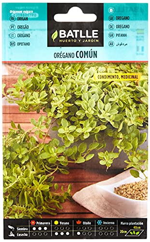 Semillas Batlle Orégano - Origanum vulgare - Sports & Fitness Amazon Espagne à 0.99€