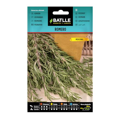 Semillas Batlle Romero - Rosmarinus officinalis - Sports & Fitness Amazon Espagne à 0.82€