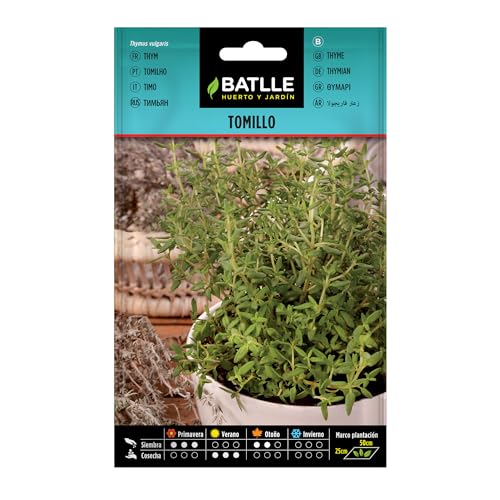Semillas Batlle Tomillo Farigola - Thymus vulgaris - Sports & Fitness Amazon Espagne à 1.00€