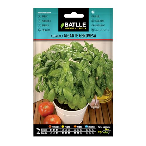 Graines aromatiques de Batlle - Basilic géant génois (4g)... - Sports & Fitness Amazon France à 2.12€