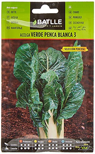 Bette à Carde Verte avec Une Tache Blanche 3 Pencosa - Maison & Cuisine Amazon France à 2.12€