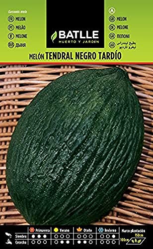 Semillas Batlle Melon TENDRAL NEGRO TARDIO - Sports & Fitness Amazon Espagne à 1.60€
