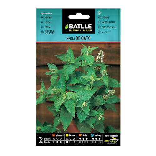 Semillas Batlle Menta de Gato-Nepeta catania - Pet Supplies Amazon Spain à 1.71€
