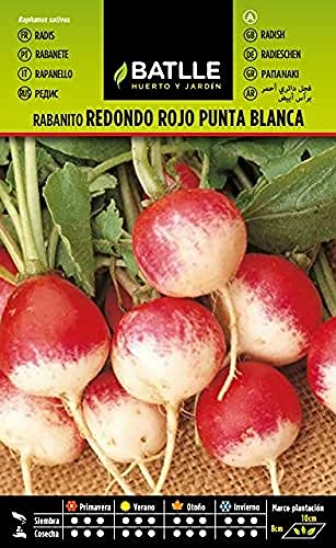Semillas Batlle Rabanito Red. rojo punta blanca - Sports & Fitness Amazon Spain à 1.60€
