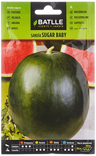 Batlle Vegetable Seeds - Watermelon Sugar Baby (8g) - Épicerie Amazon Royaume-Uni à 1.42€