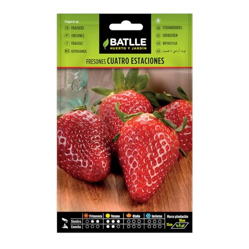 Semillas Batlle - Fresones 4 estaciones, Color Rojo - Sports & Fitness Amazon Espagne à 1.72€