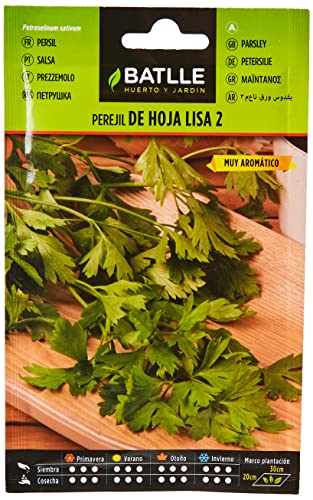 Semillas Batlle Perejil DE HOJA LISA 2 - Sports & Fitness Amazon Espagne à 1.30€