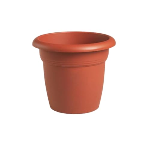 Tildenet Gardenware 82180 - Maceta - Jardin & Extérieur Amazon Espagne à 1.12€