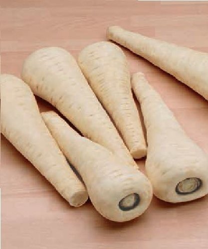 Just Seed - Vegetable - Parsnip - Gladiator F1-75 Seed... - Jardin & Extérieur en promo à 1.45€