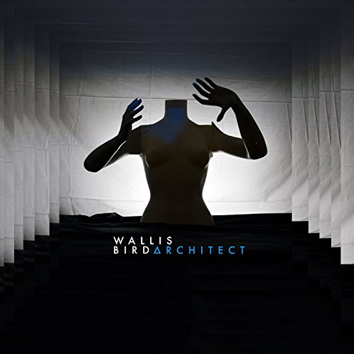 Architect [Import] - Musique & Instruments Amazon France à 1.74€