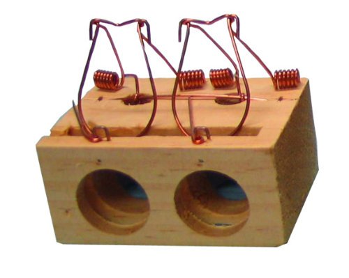 garhe Piège à souris en bois 2 trous - Jardin & Extérieur Amazon France à 2.62€
