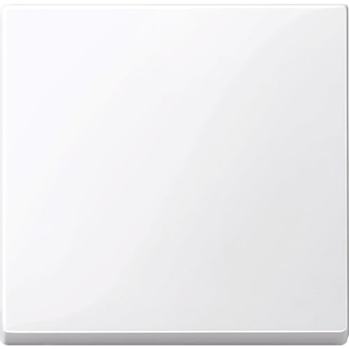 Schneider Electric MTN432125 Tecla Simple, Blanco Activo - Bon plan à 2.61€