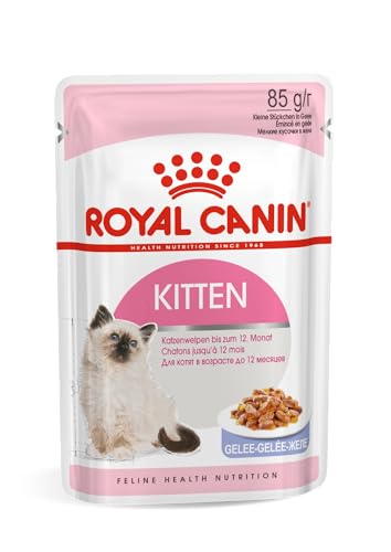 Royal Canin - Royal Canin - Animalerie Amazon Espagne à 1.40€