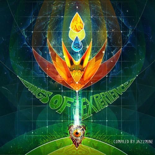 Songs of Experience [Import] - Musique & Instruments Amazon Allemagne à 15.00€