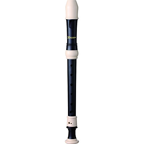 Recorder Workshop 604BMB Enregistreur pour basse Descant... - Auto & Motorcycle Amazon France à 4.70€