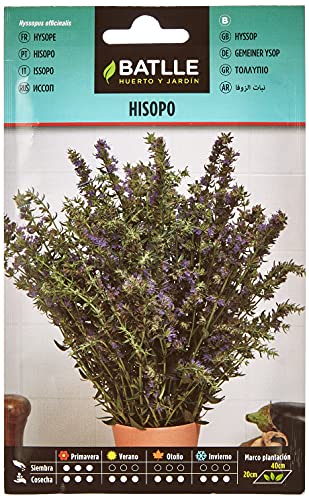 Semi di erbe di Batlle - Ysop Jasmine (Seeds - 50cm) - Sports & Fitness en promo à 2.12€
