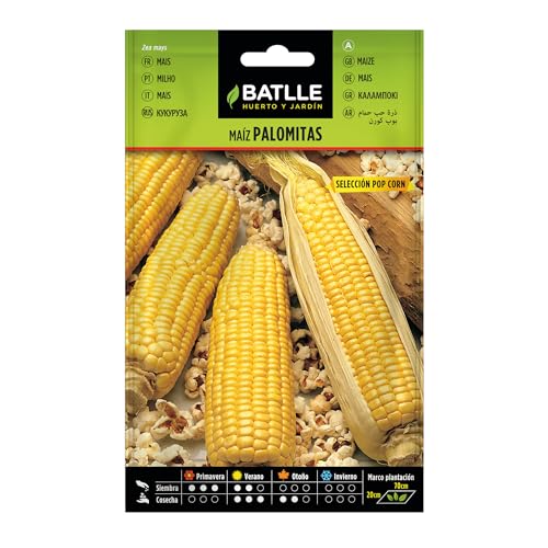 Semillas Batlle Maiz palomitas POP CORN - Sports & Fitness Amazon Espagne à 0.99€