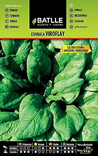 Batlle Vegetable Seeds - Spinach Viroflay (15g) - Épicerie Amazon Royaume-Uni à 1.42€