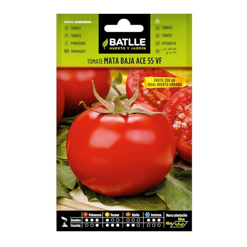 Semillas Batlle – Semi di Pomodoro - Sports & Fitness en promo à 1.63€