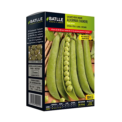 Semi Batlle – pisello odoroso - Sports & Fitness Amazon Italie à 2.36€