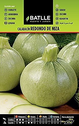 Batlle vegetable seeds - Courgette redondo de Niza (Seeds) - Sports & Fitness Amazon Allemagne à 2.40€
