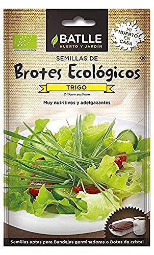 Semillas Batlle – Semi per germogli, biologici - Sports & Fitness en promo à 2.81€