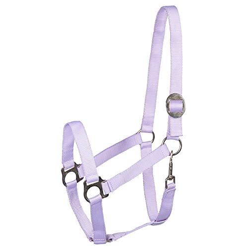 PFIFF 101668 Kunststoffhalfter, Halfter aus Kunststoff... - Maison & Cuisine en promo à 5.50€