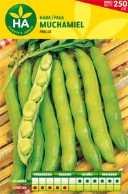 SEMILLAS HABA MUCHAMIEL 250GR - Épicerie Amazon Espagne à 2.85€