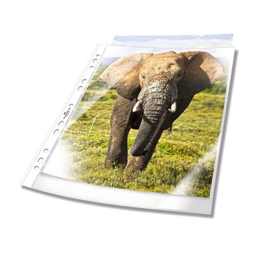 Durable 265819 – Busta business fortata per cataloghi, f.to... - Animalerie Amazon Italie à 8.59€