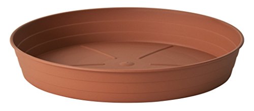 Euro 3 PLAST 25 Set SOTTOVASO saiato Cotto Color CM20... - Jardin & Extérieur Amazon Espagne à 2.28€
